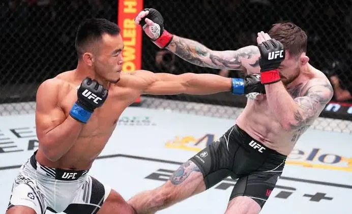 Ставки на UFC и бокс — как делать прогнозы на единоборства