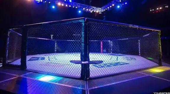Октагон UFC: в MMA разрешены удары руками и ногами, борьба и болевые приёмы